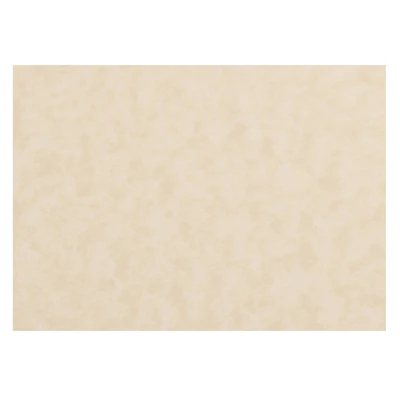 JAM Paper Natural 3.5" x 4.87" Blank Flat Parchment Note Cards, 50ct.