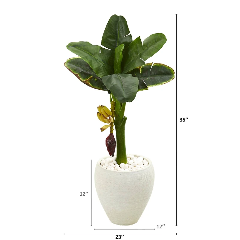 3ft. Banana Tree in White Planter