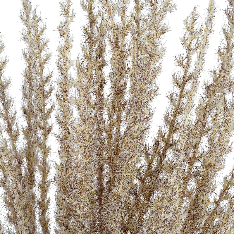 31" Light Brown Pampas Grass Stem by Ashland®