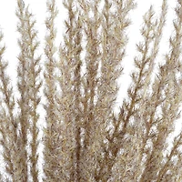 31" Light Brown Pampas Grass Stem by Ashland®