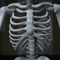 5ft. Skeleton with Red Light-Up Eyes by Ashland®