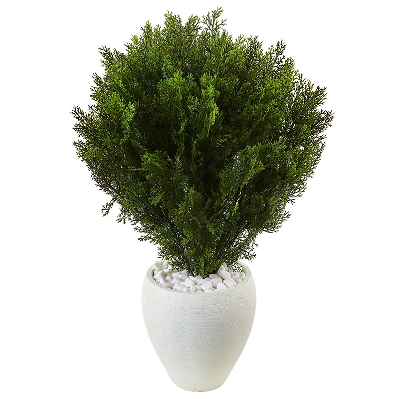 3ft. Cedar in Oval Textured Planter