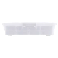 5qt. Storage Case by Simply Tidy®