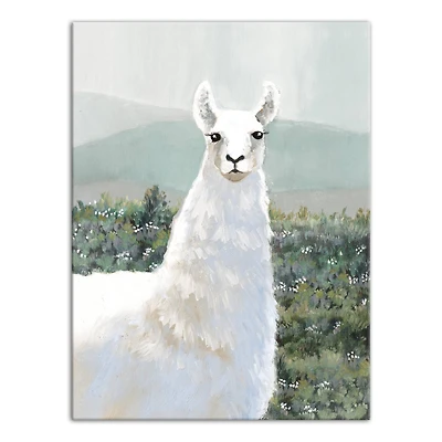 White Llama in Pasture 30" x 40" Canvas Wall Art