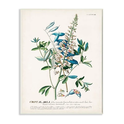 Stupell Industries Flowers & Leaves Vintage Illustration Wall Plaque