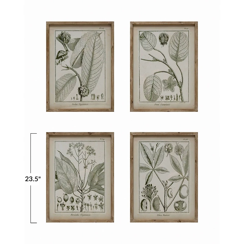 Hello Honey® Wood Framed Glass Wall Décor with Plant Set