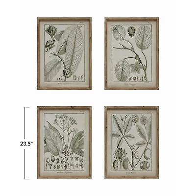 Hello Honey® Wood Framed Glass Wall Décor with Plant Set