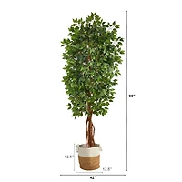 7.5ft. Artificial Deluxe Ficus Tree with Handmade Jute & Cotton Basket