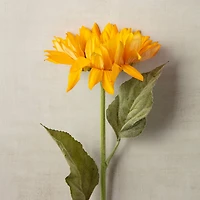 Gold Sunflower Stem by Ashland