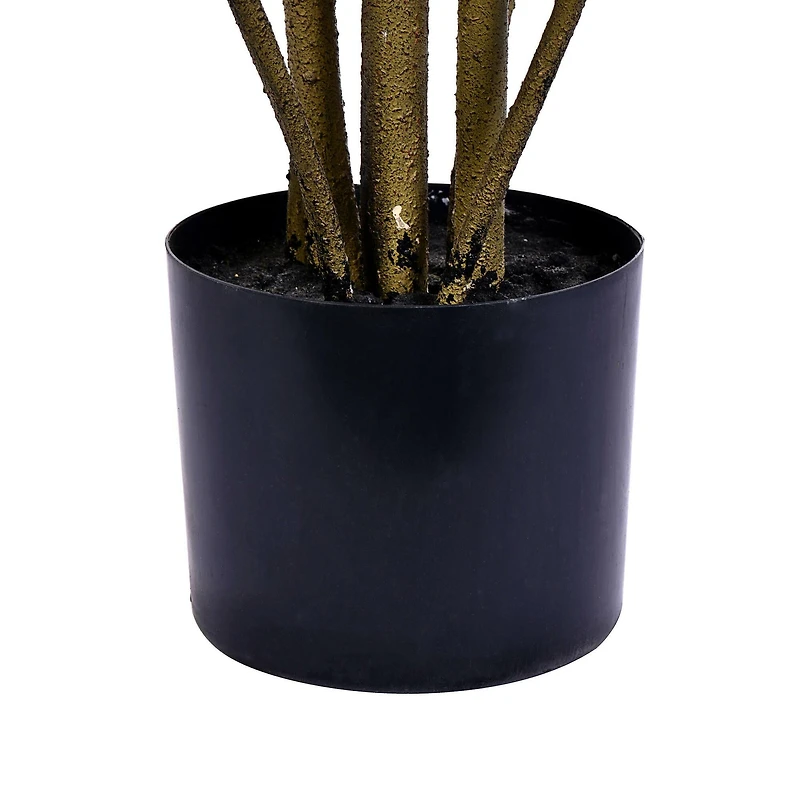 7ft. Potted Green & Orange Croton Tree