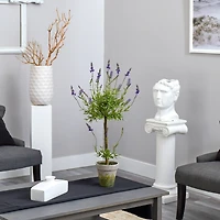 3ft. Potted Lavender Single Ball Topiary Tree