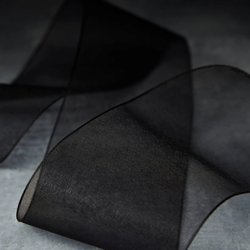 2.5" x 10yd. Sheer Ribbon by Celebrate It® Specialty