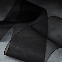 2.5" x 10yd. Sheer Ribbon by Celebrate It® Specialty