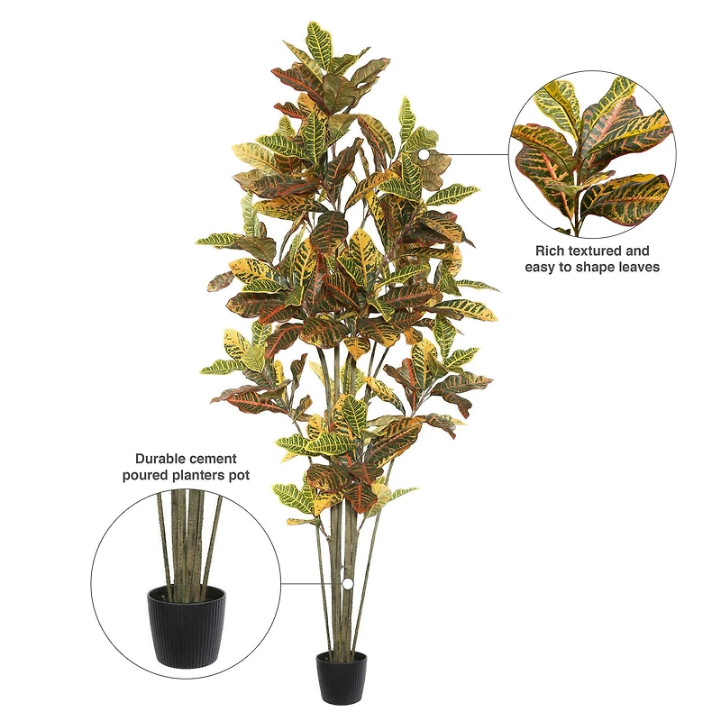 7ft. Potted Green & Orange Croton Tree