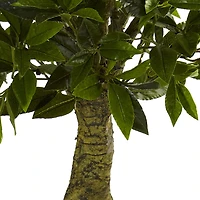 5ft. Potted UV Resistant Triple Bay Leaf Topiary Tree
