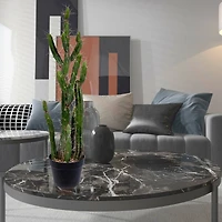 3ft. Potted Green Cactus