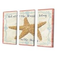 Designart - Sea Shells-C