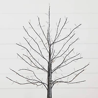 2ft. Pre-Lit Artificial Halloween Black Twig Tree with 210 Warm White Fairy Copper Wire LED Lights
