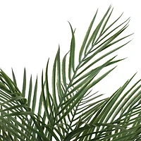 2.6ft. Potted Areca Palm Tree