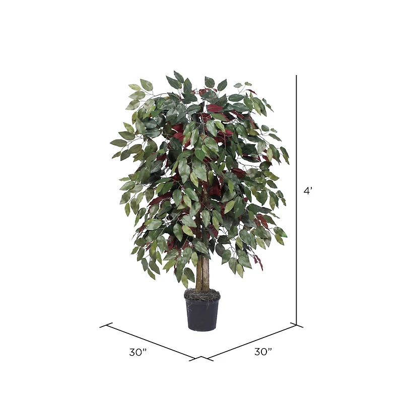4ft. Artificial Capensia Bush with Black Plastic Pot