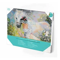 Diamond Dotz® Intermediate Field of Dreams Pre-Framed Diamond Painting Kit