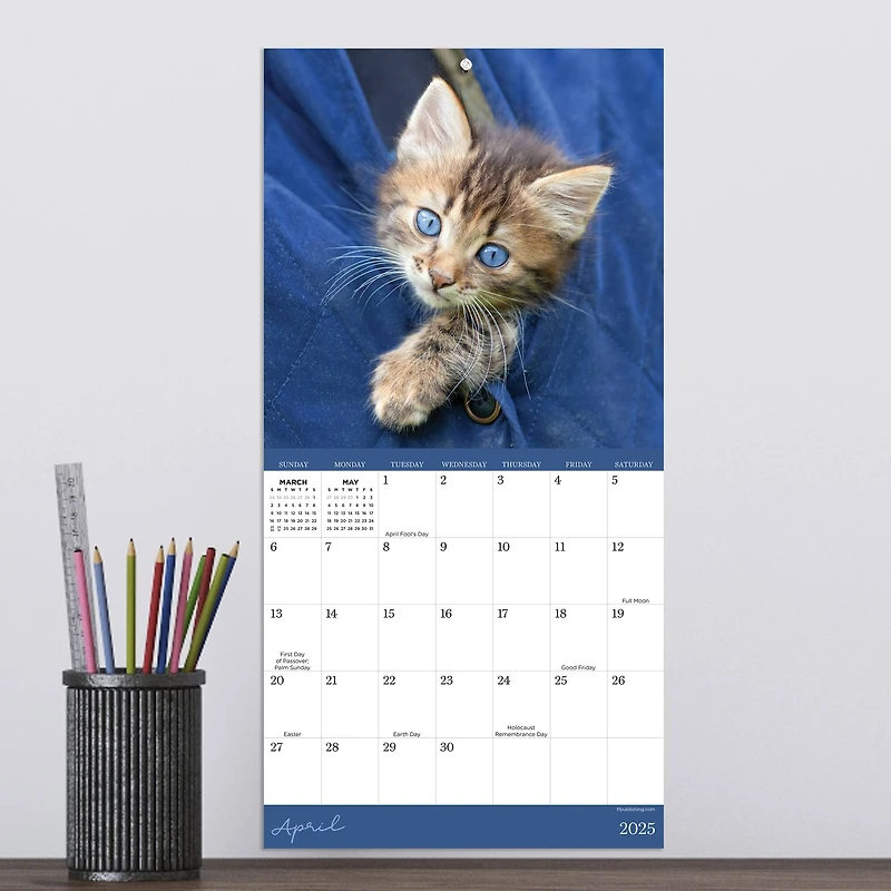 TF Publishing 2025 Kittens Mini Calendar