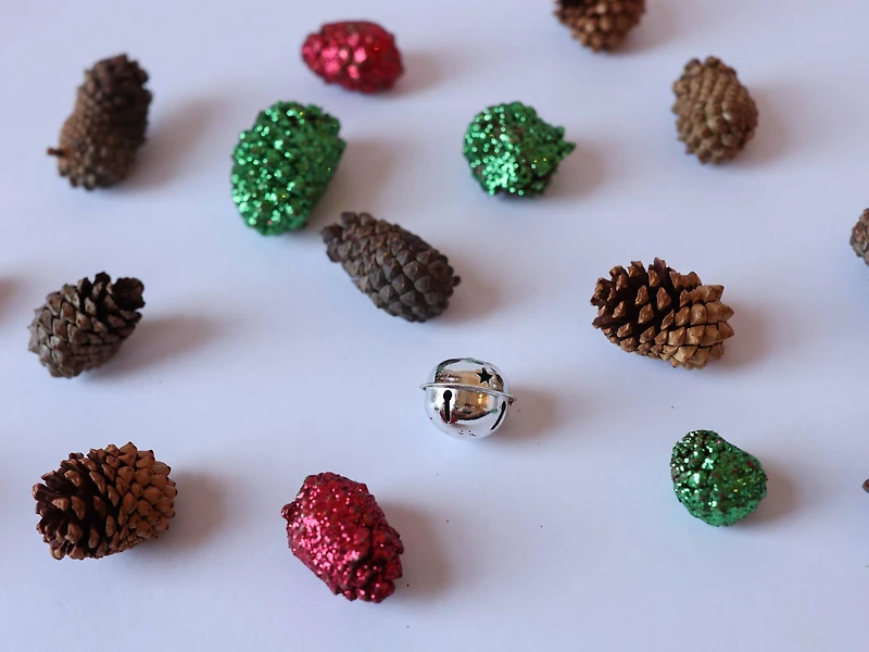 Cinnamon Scented Pine Cone Mix by Ashland®