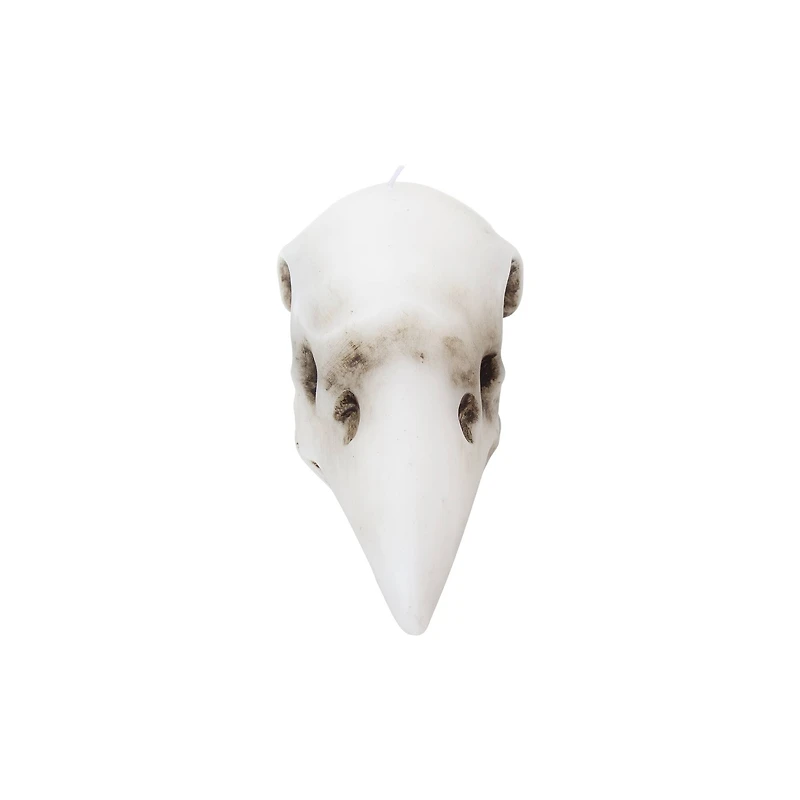 Crow Skull Shaped Candle by Ashland®