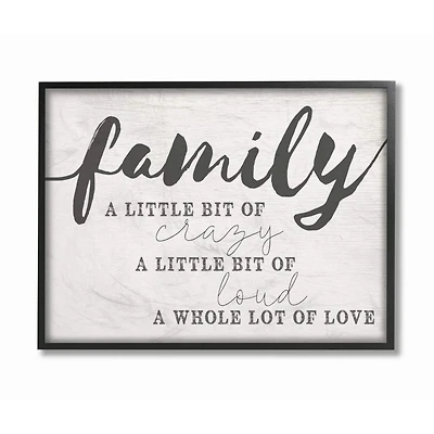 Stupell Industries Family Crazy Loud Love Inspirational Word Design Framed Wall Art
