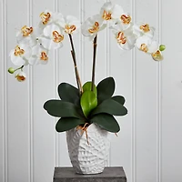23" White Double Stem Orchid Arrangement in White Textured Vase