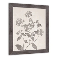 Neutral Distressed Florals Framed Print Wall Hanging