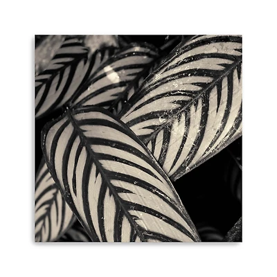 Varigated Leaves No. 2 Canvas Giclee