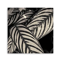 Varigated Leaves No. 2 Canvas Giclee