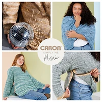 2 Pack Caron® Simply Me Mosaic™ Yarn