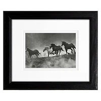Timeless Frames® Black & White Run With The Wind Horses Print Framed Wall Art