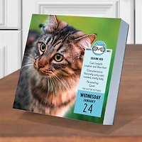 TF Publishing Cat A Day Daily Desktop Calendar