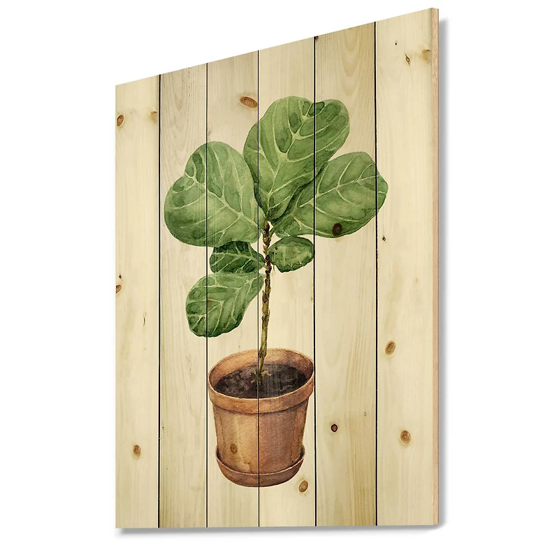 Designart - Ficus Lyre In Clay Flowerpot - Traditional Print on Natural Pine Wood