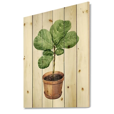 Designart - Ficus Lyre In Clay Flowerpot - Traditional Print on Natural Pine Wood