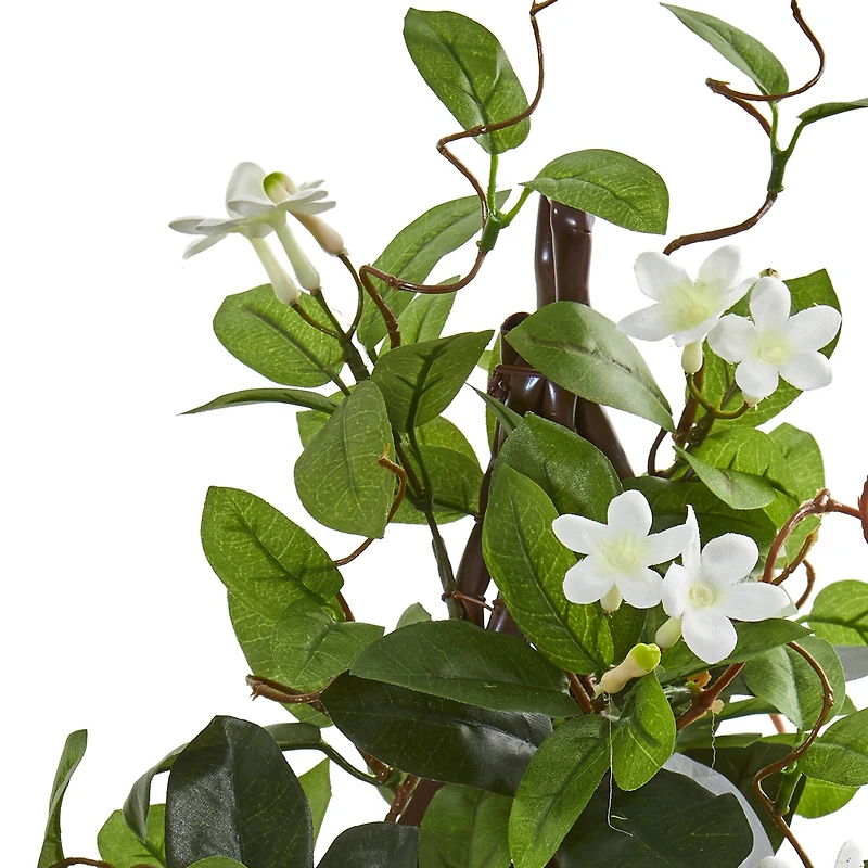 24” Potted White Stephanotis Climbing Plant 