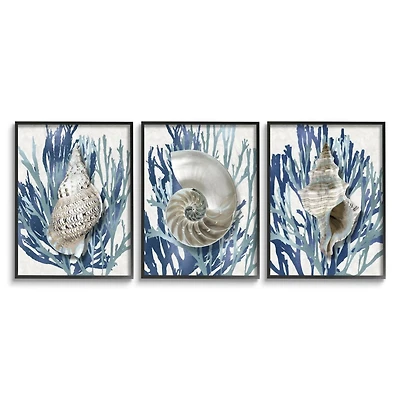 Stupell Industries Trio of Shell Coral Blue Beach Design in Frame Wall Art
