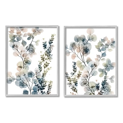 Stupell Industries Collage of Translucent Plants Blue Green Beige in Gray Frame Wall Art