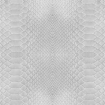 Simplify Gray Python Adhesive Wallpaper