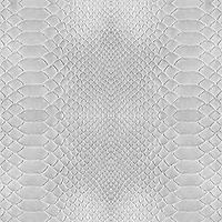 Simplify Gray Python Adhesive Wallpaper