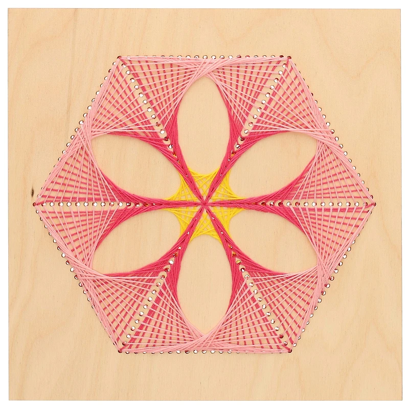 Leisure Arts® Hexagon Flower Stitched String Art Shadow Box Kit