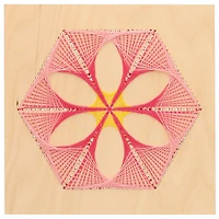Leisure Arts® Hexagon Flower Stitched String Art Shadow Box Kit