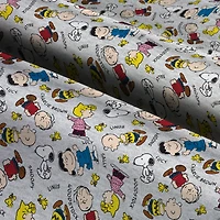 Peanuts Gang With Names Fabric