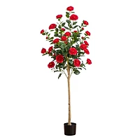 5ft. Potted Red Camellia Rose Tree