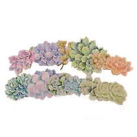 Succulent Die Cut Stickers by Recollections™