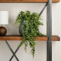 2.5ft. Green Buckler Fern Vine