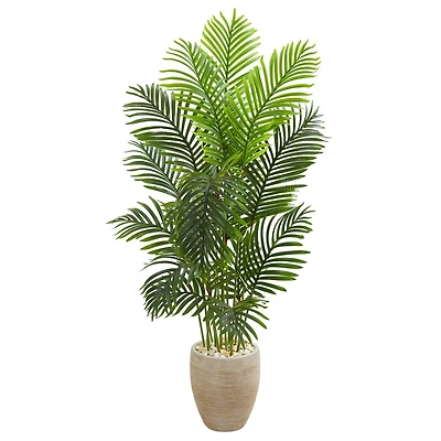 5ft. Paradise Palm Tree in Sand Colored Planter